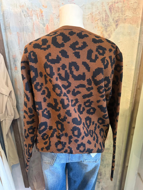 Leopard Print Button Detail Top