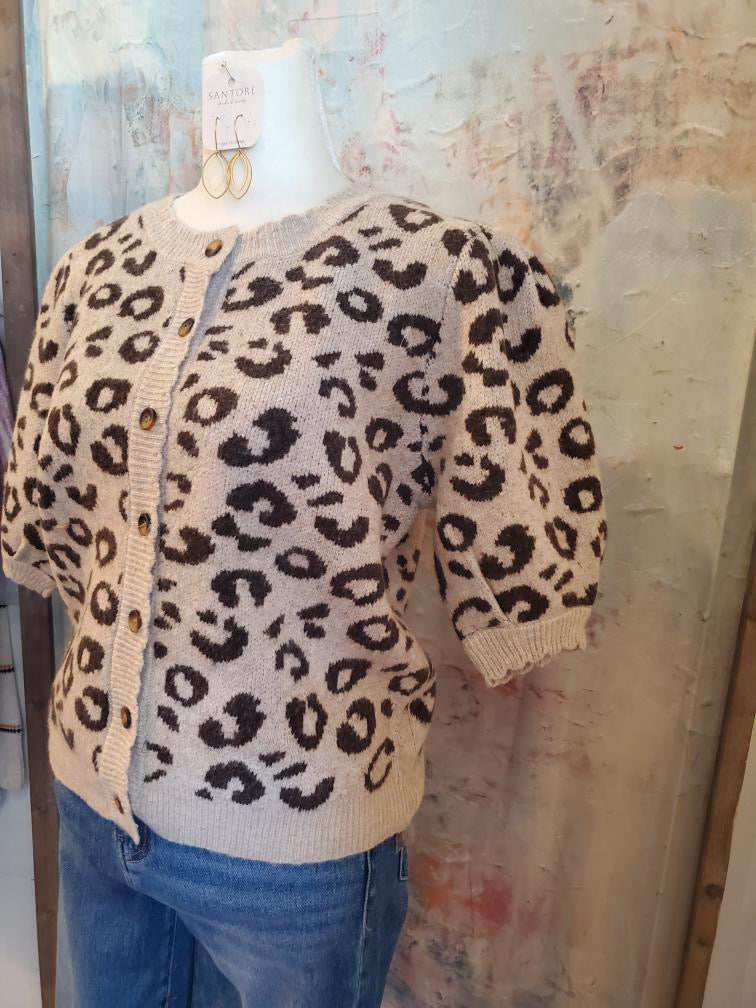 Animal Print Short Sleeve Sweater Top