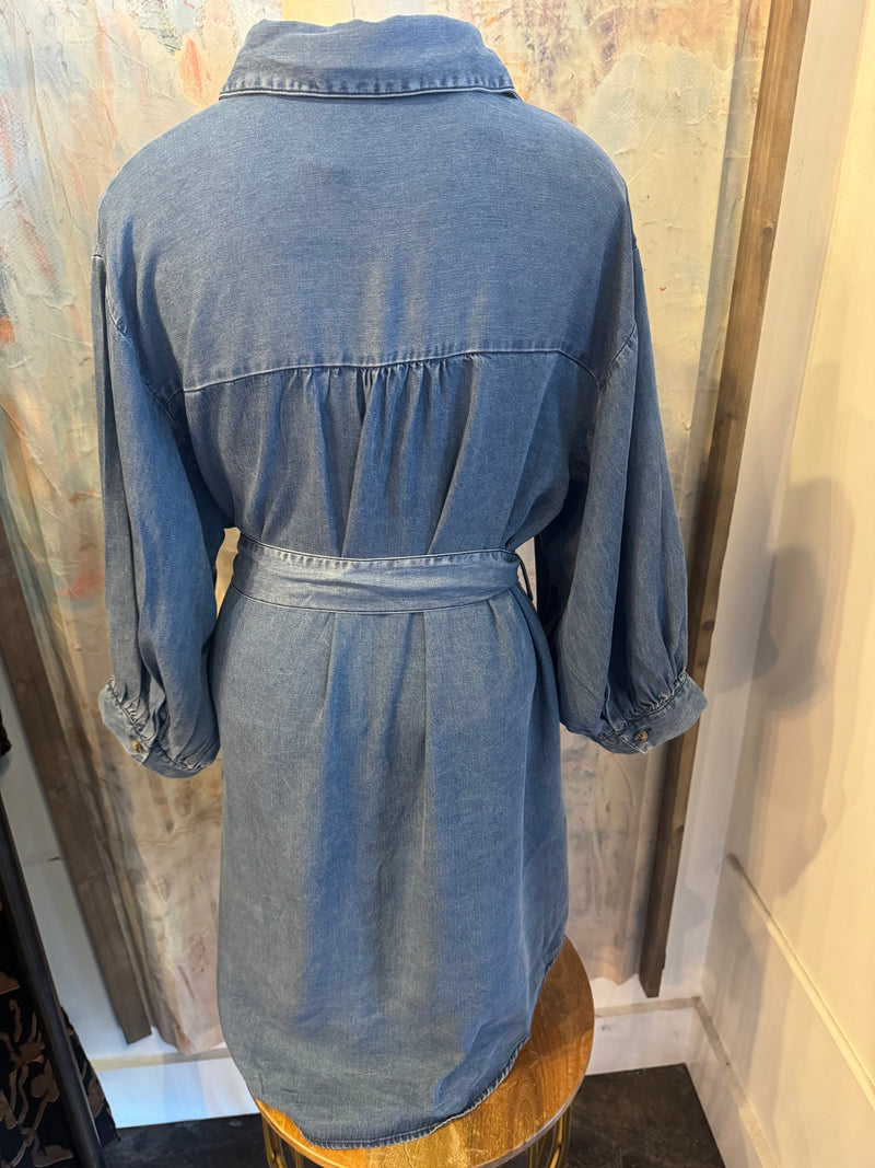 Button Down Denim Dress with Pockets