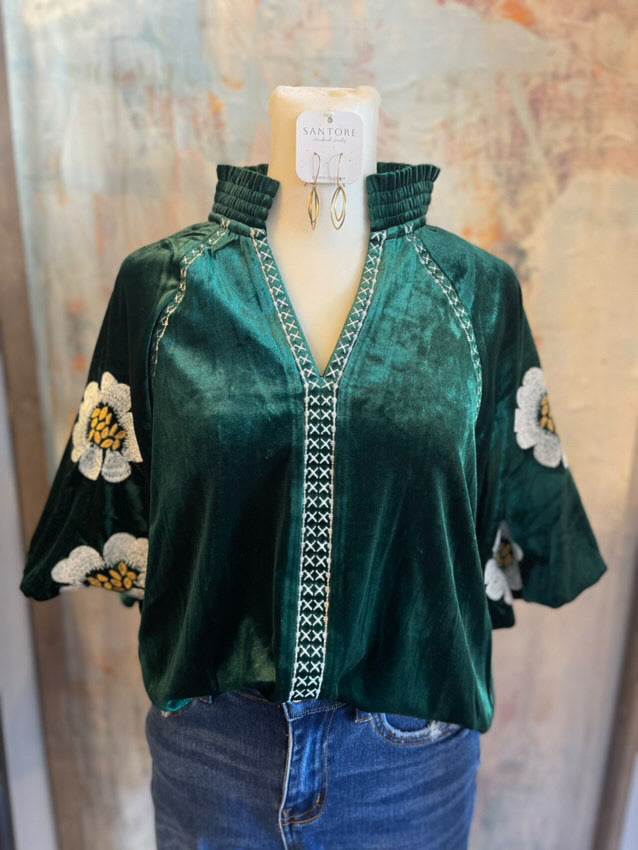 Embroidered Detail Velvet Puff sleeve Top