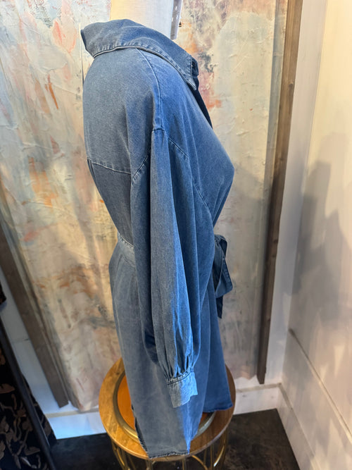 Button Down Denim Dress with Pockets