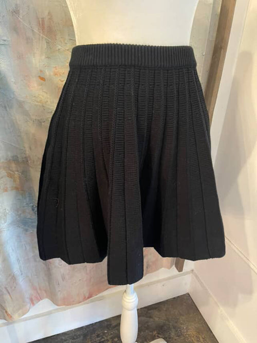 Heavy Knit Pleat Skirt