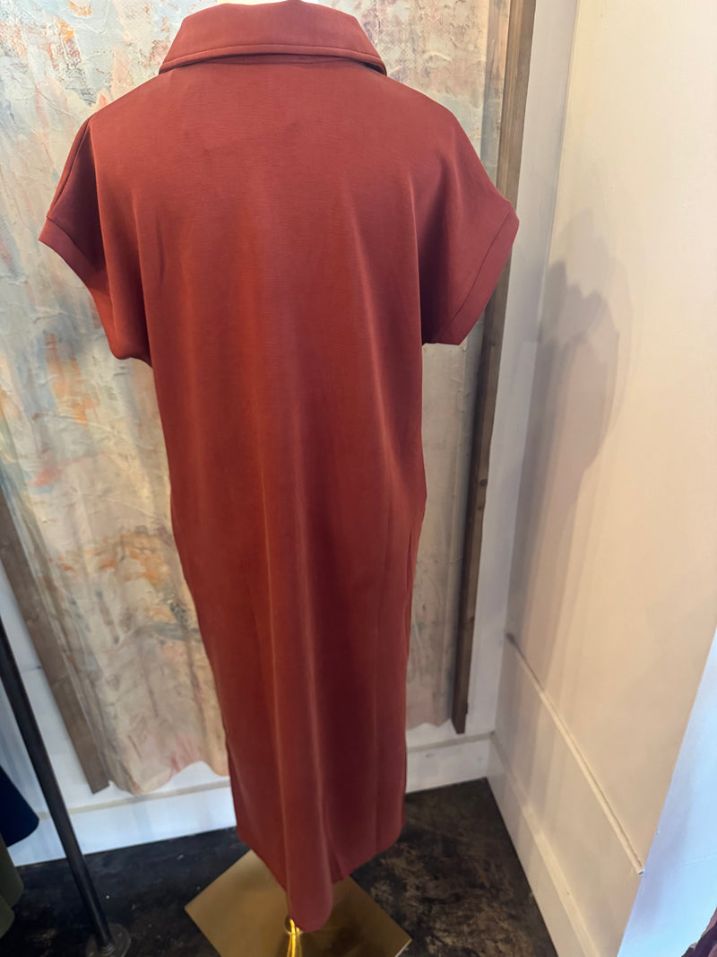 Shirt Collar T Shirt Dress with Pockets