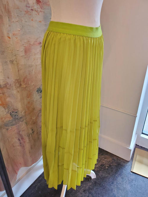 Pleated Flared Skirt