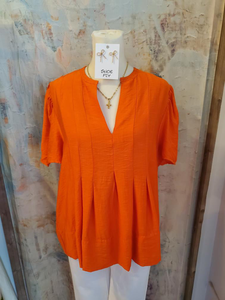 Flutter Sleeve V Neck Top with Pleat Detail