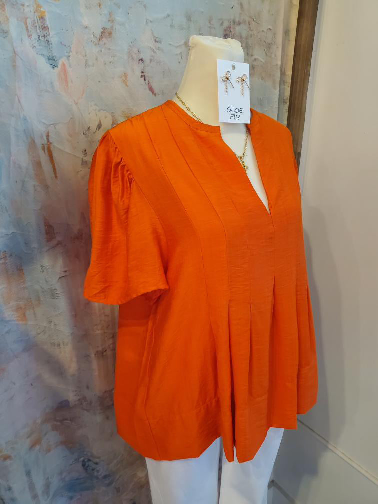 Flutter Sleeve V Neck Top with Pleat Detail