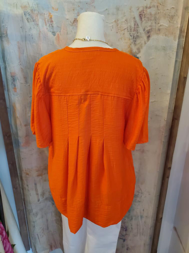 Flutter Sleeve V Neck Top with Pleat Detail