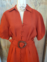 Shirt Collar Dress with Tie