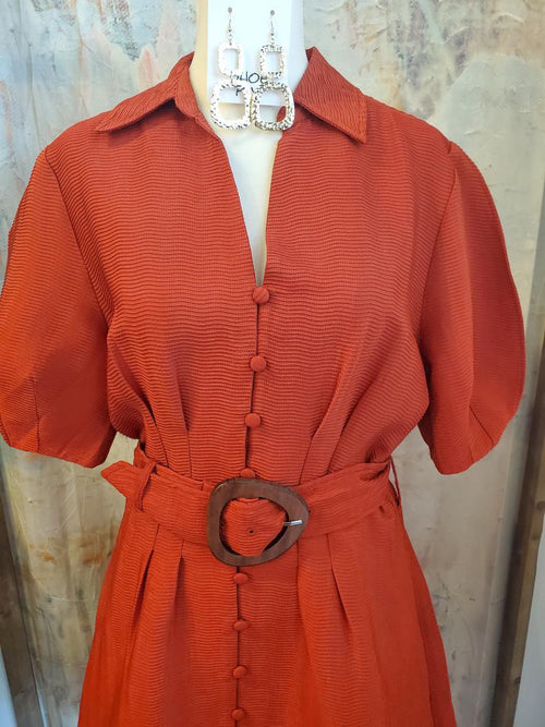 Shirt Collar Dress with Tie