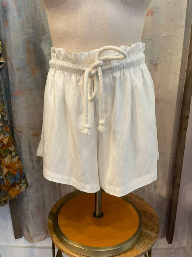 High Waist Drawstring Waist Shorts