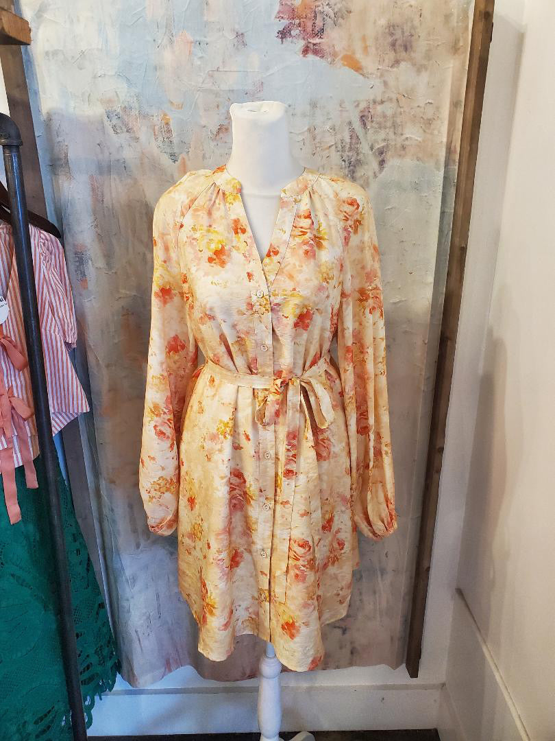 Button Down Dress with Raglan Sleeve