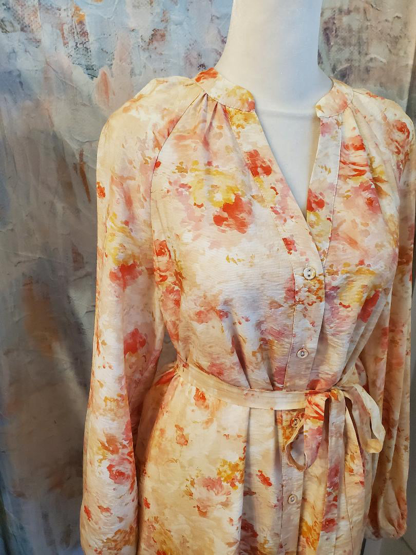 Button Down Dress with Raglan Sleeve