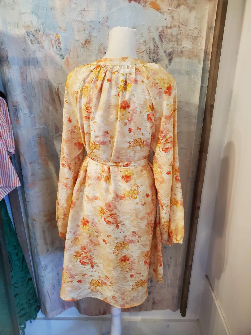 Button Down Dress with Raglan Sleeve