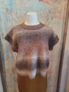 Sleeveless Knit Sweater Vest Multi Brown