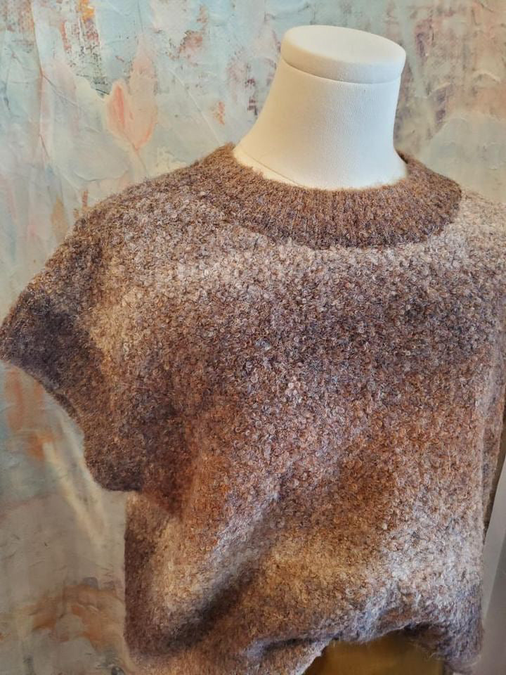 Sleeveless Knit Sweater Vest Multi Brown