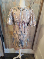 Puff Sleeve Sequin Detail Dress