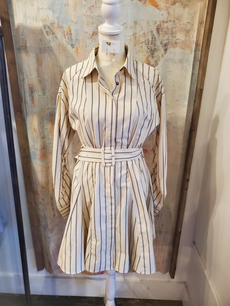 Stripe Belted Shirt Dress