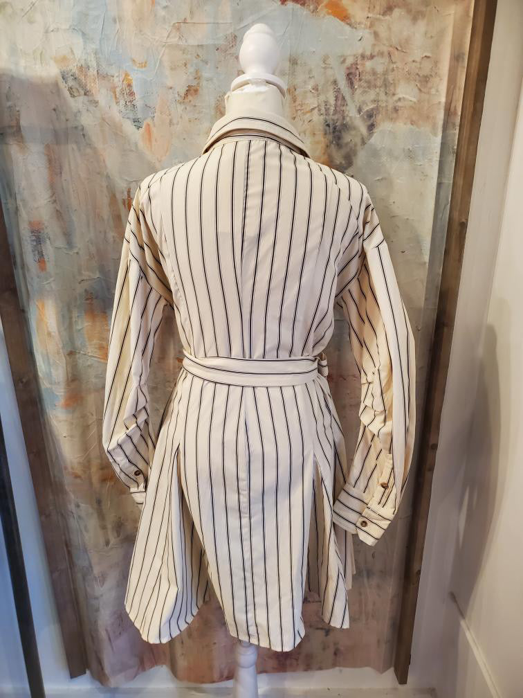 Stripe Belted Shirt Dress